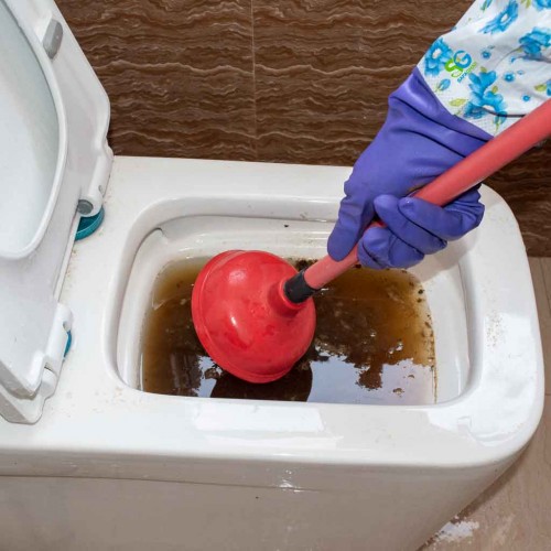 a man unblocking clogged toilet