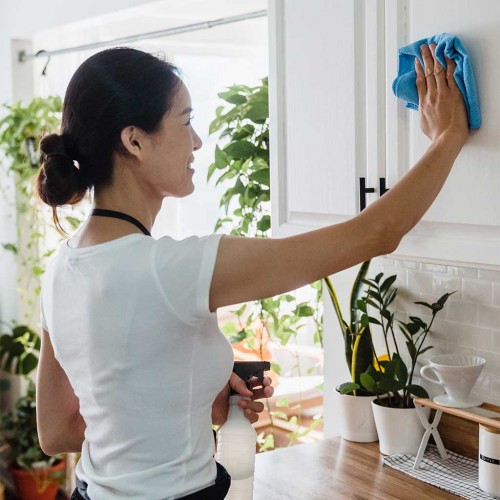 a woman cleaning House